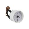 39818210 Ferroli Domicondens F28 Pressure Gauge 