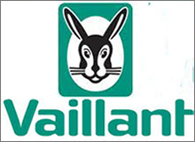 Vaillant Boiler Parts 