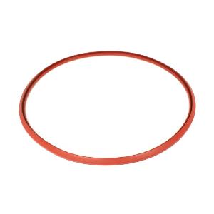 720538401 Remeha Avanta 24C Heat Exchanger Gasket S59596