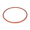 720538401 Remeha Avanta 39C Heat Exchanger Gasket S59596