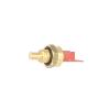 0020118638 Glow Worm NTC Thermistor