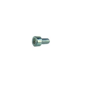 C08100330 Keston Screw M5 x 10 Casing