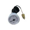 65102220 Ariston ACO 32 MFFI Pressure Gauge