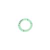 720535601 Remeha Avanta 30S Gasket